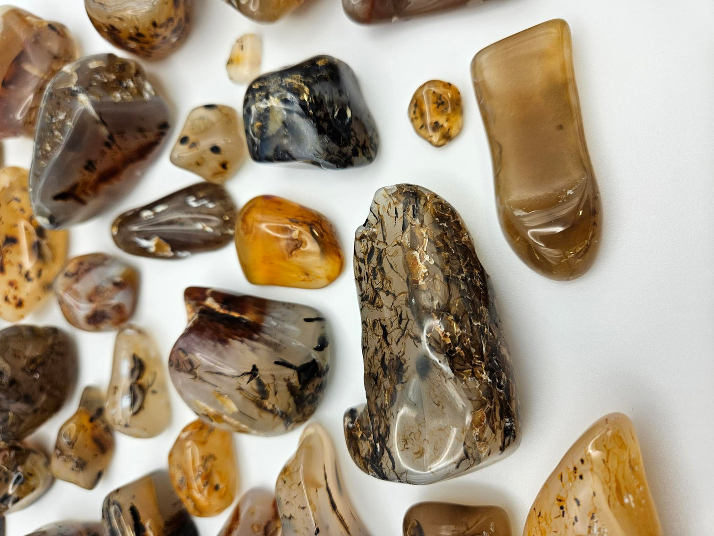 Montana Moss Agates Yellowstone River Agates Tumbled Polished
