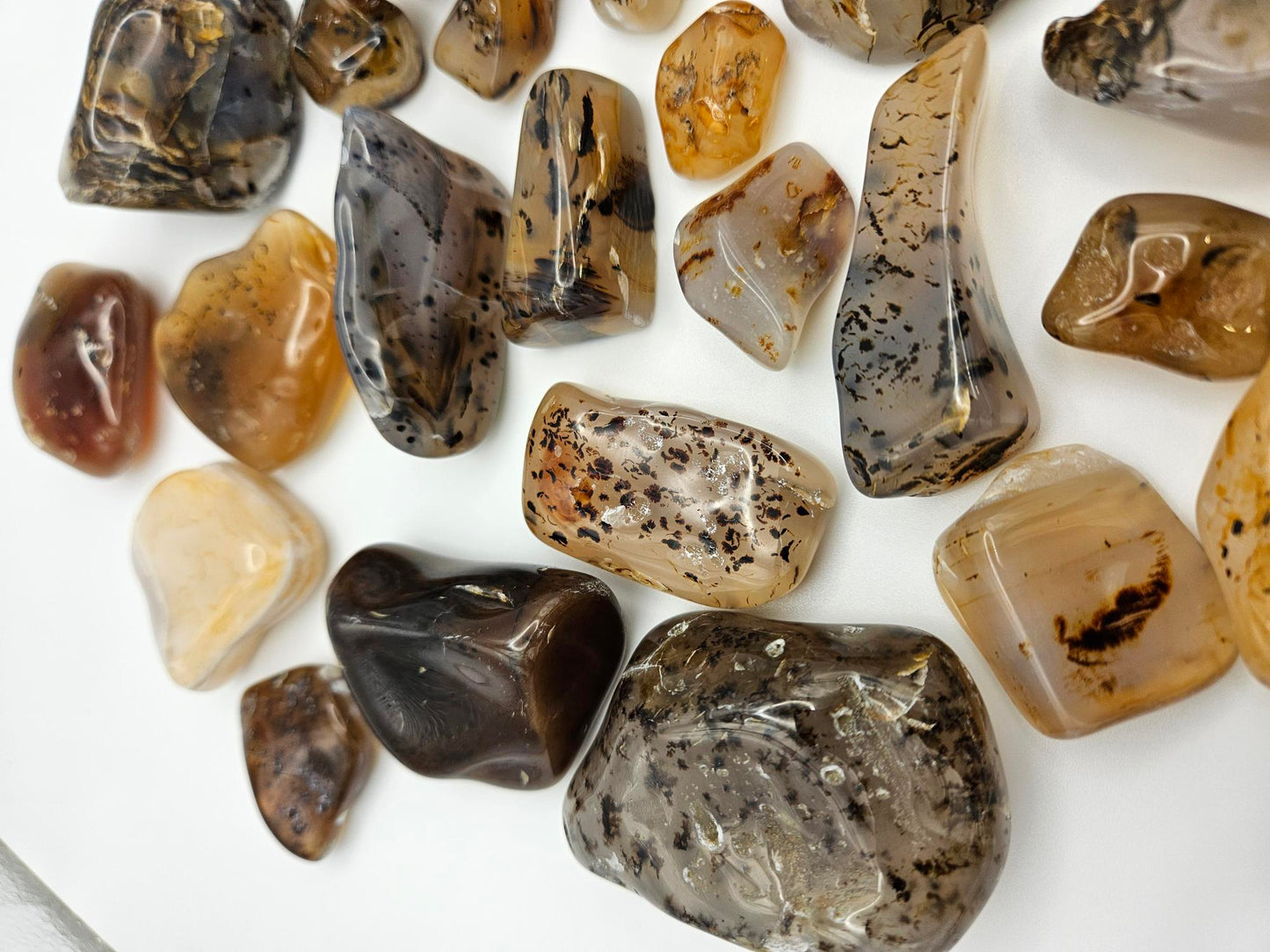Montana Moss Agates Yellowstone River Agates Tumbled Polished
