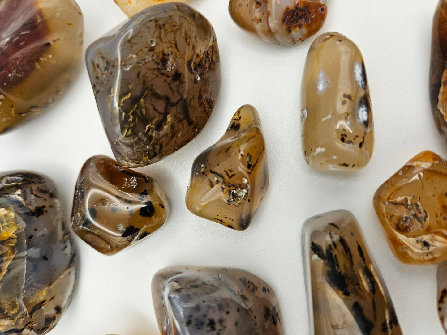 Montana Moss Agates Yellowstone River Agates Tumbled Polished
