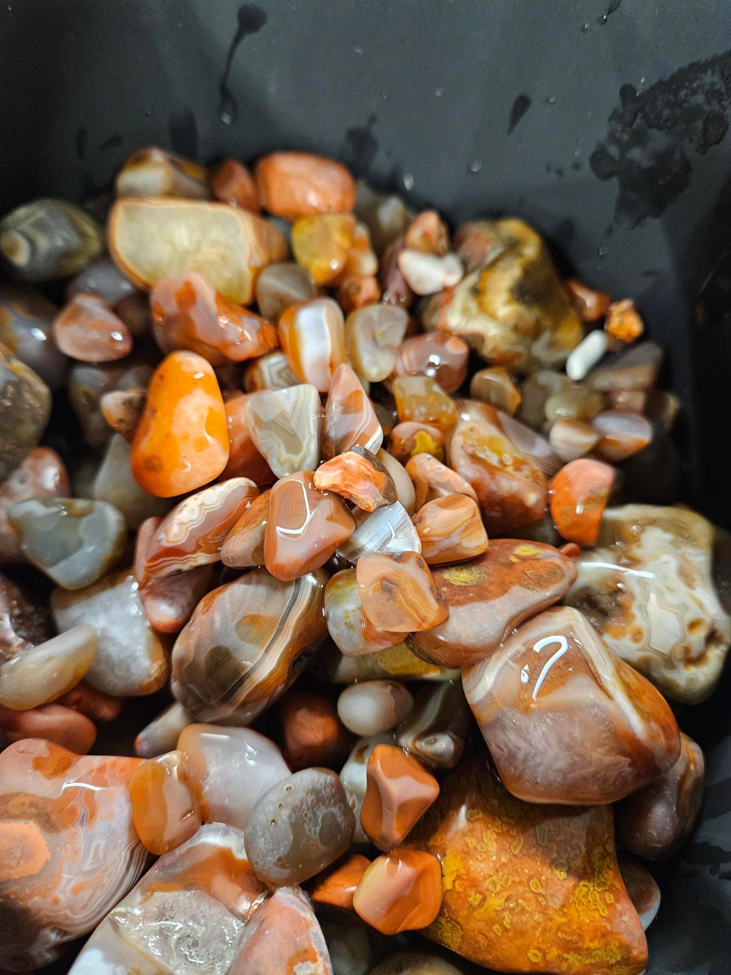 1lb - Famous Lake Superior Agates Rough for Tumbling - Polishing