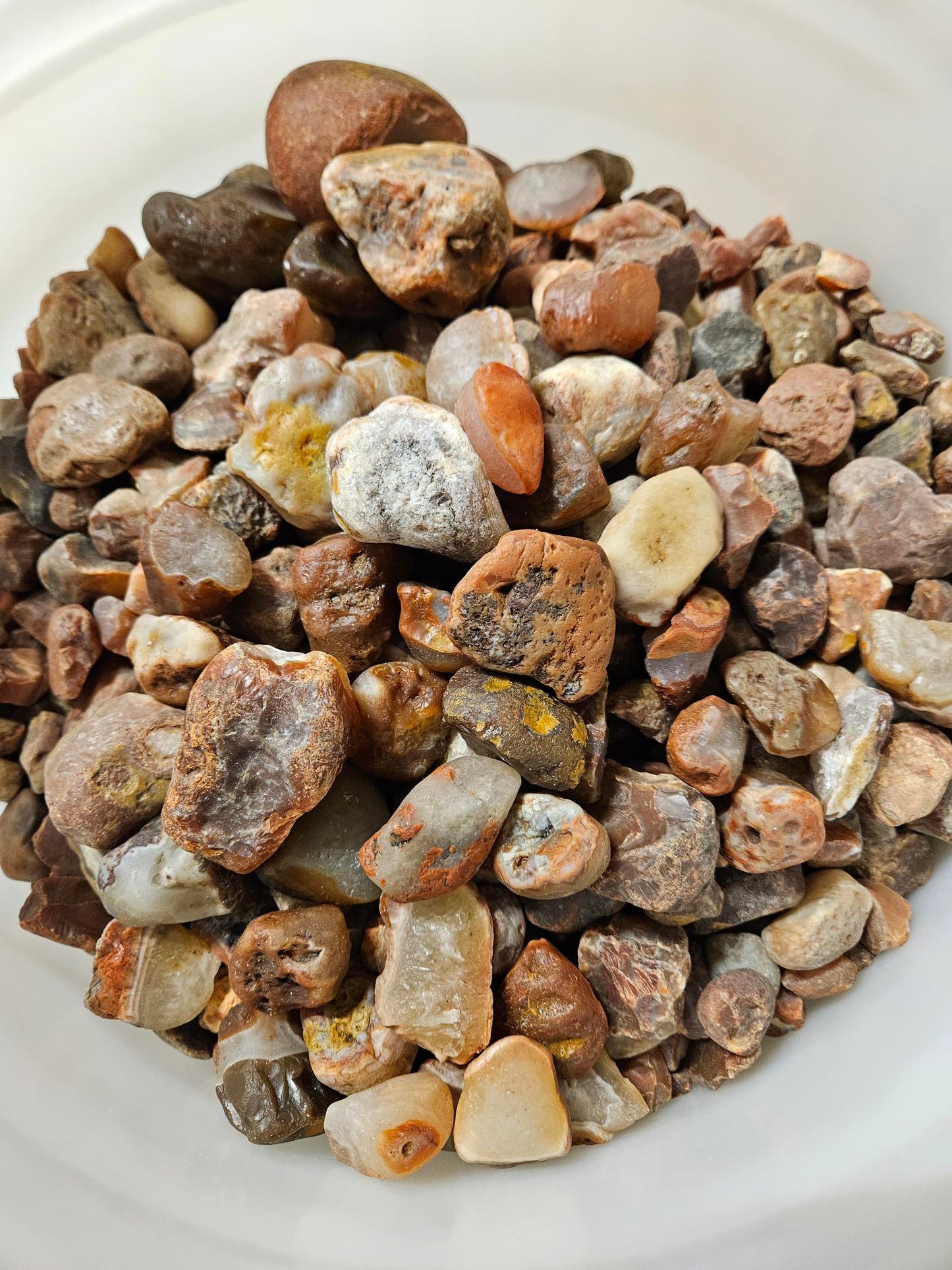 1lb - Famous Lake Superior Agates Rough for Tumbling - Polishing