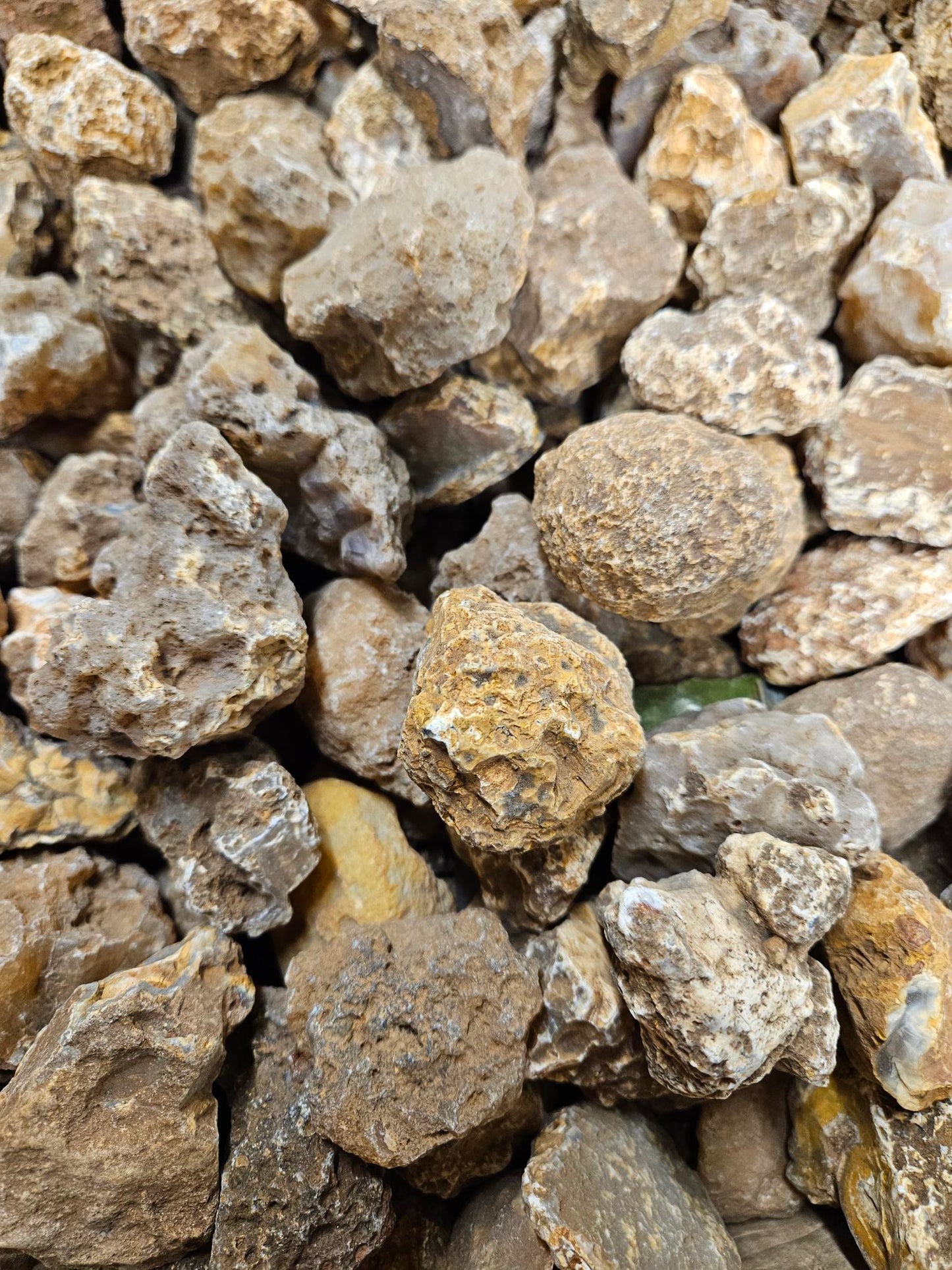 Calandria Agates
