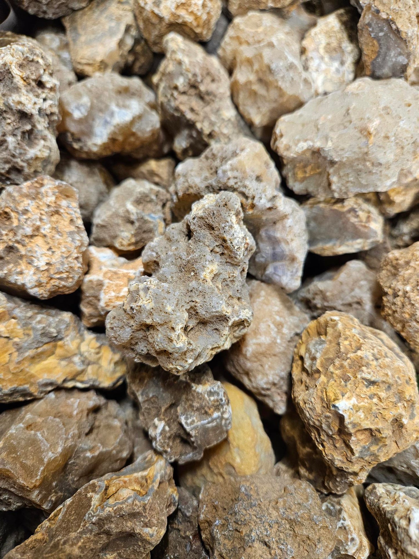 Calandria Agates