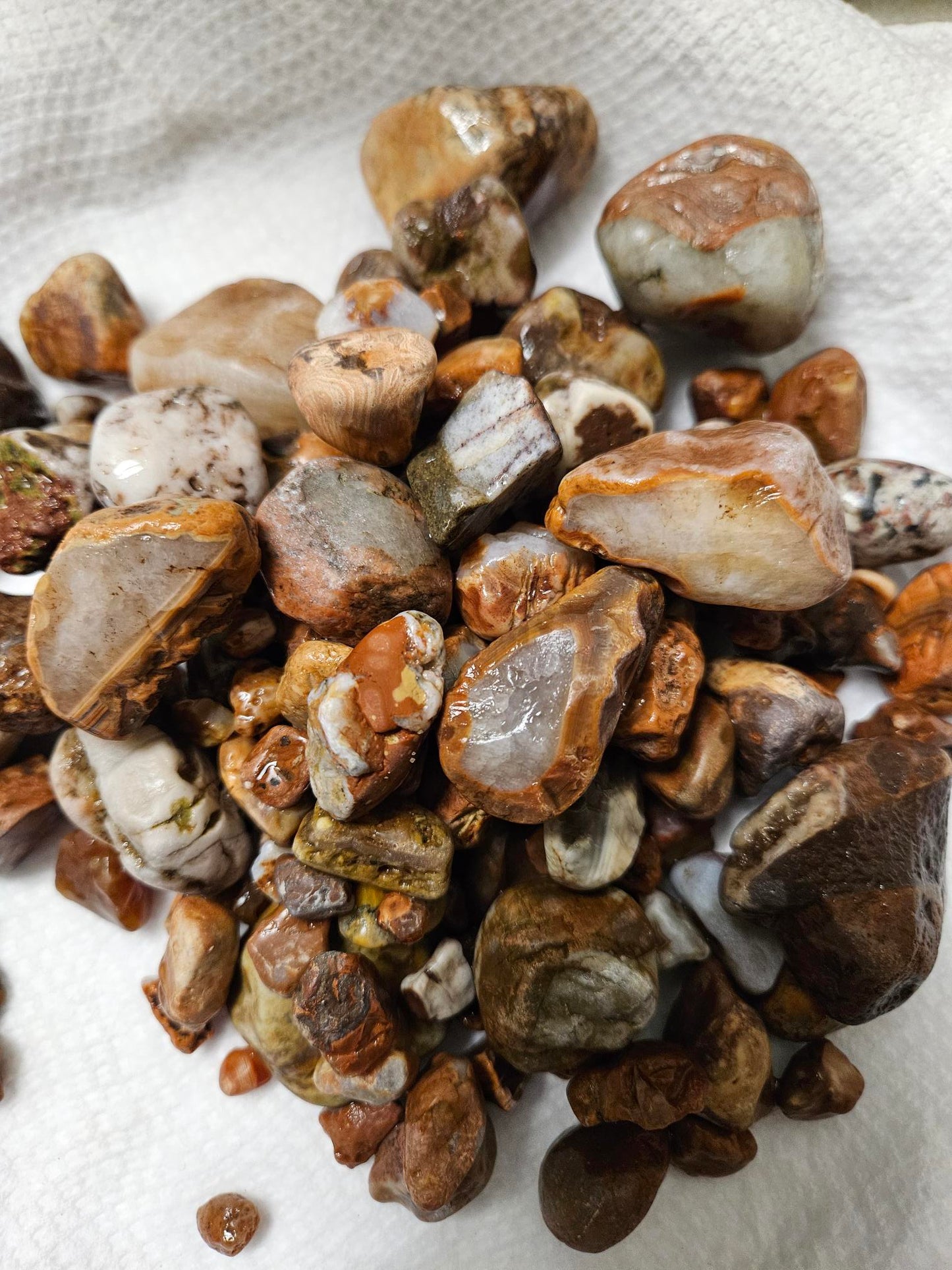 1lb - Famous Lake Superior Agates Rough for Tumbling - Polishing