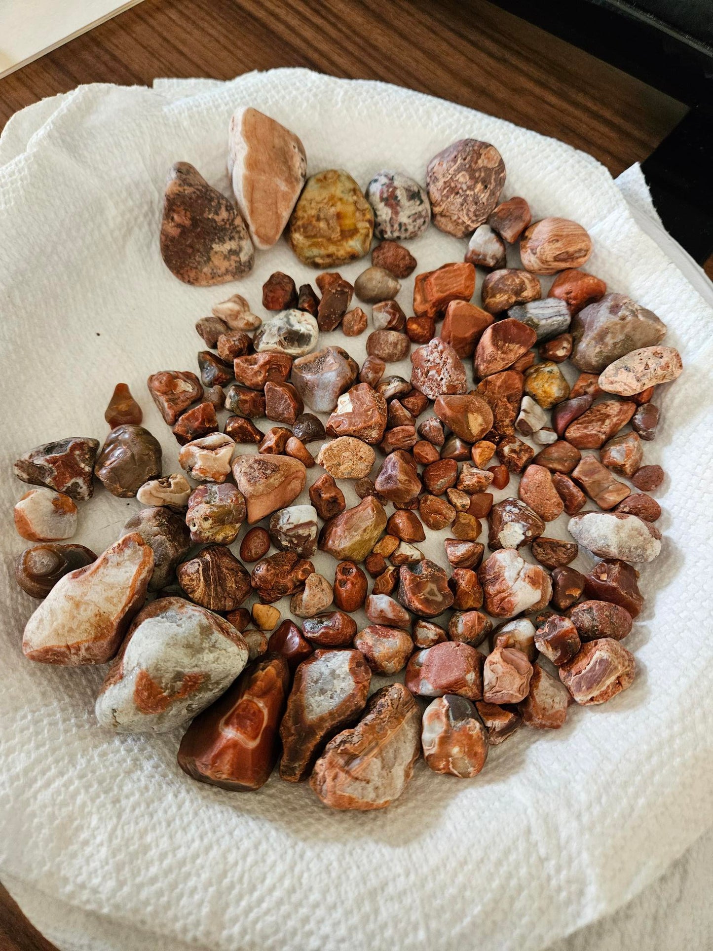 1lb - Famous Lake Superior Agates Rough for Tumbling - Polishing