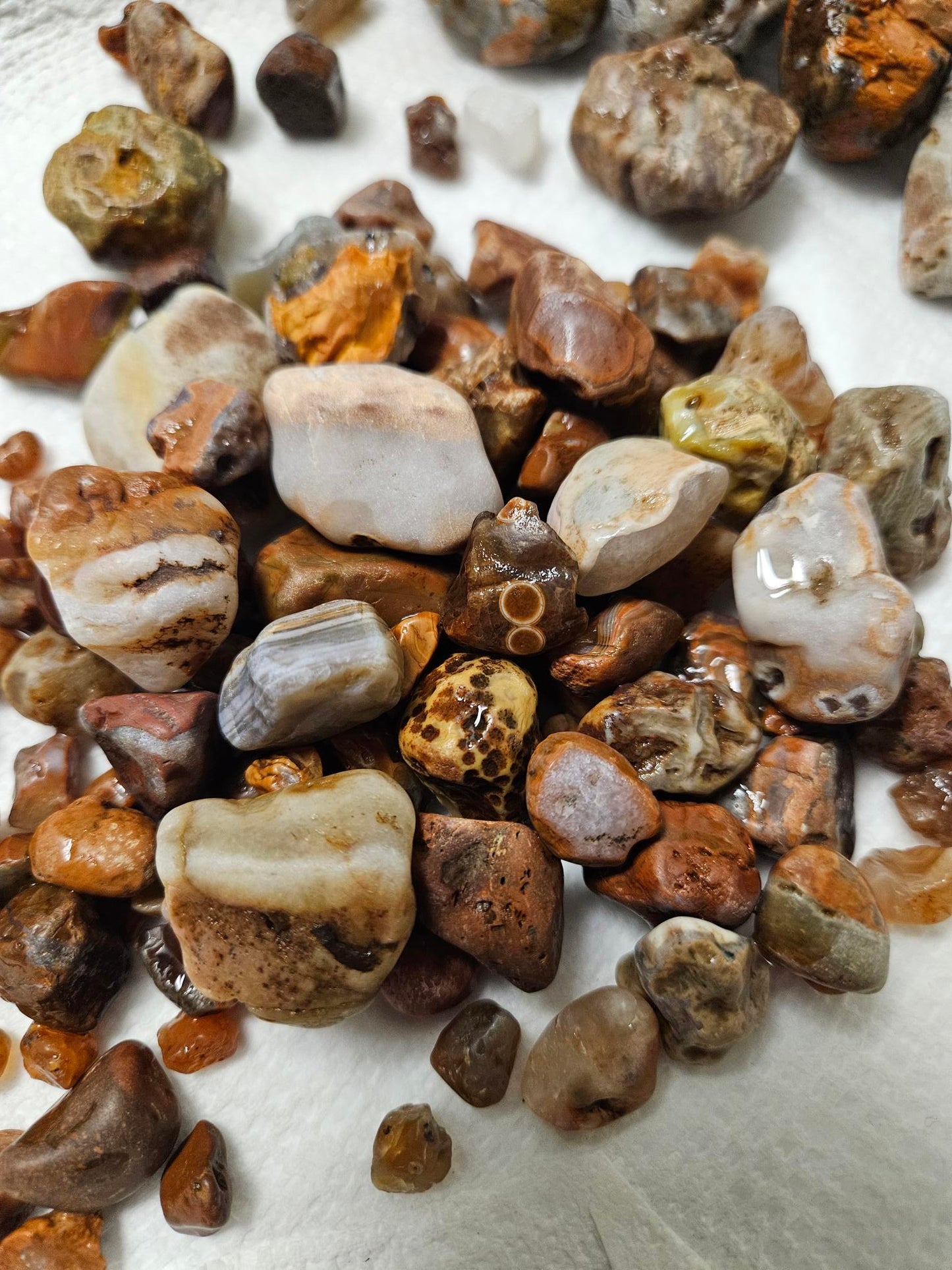 1lb - Famous Lake Superior Agates Rough for Tumbling - Polishing