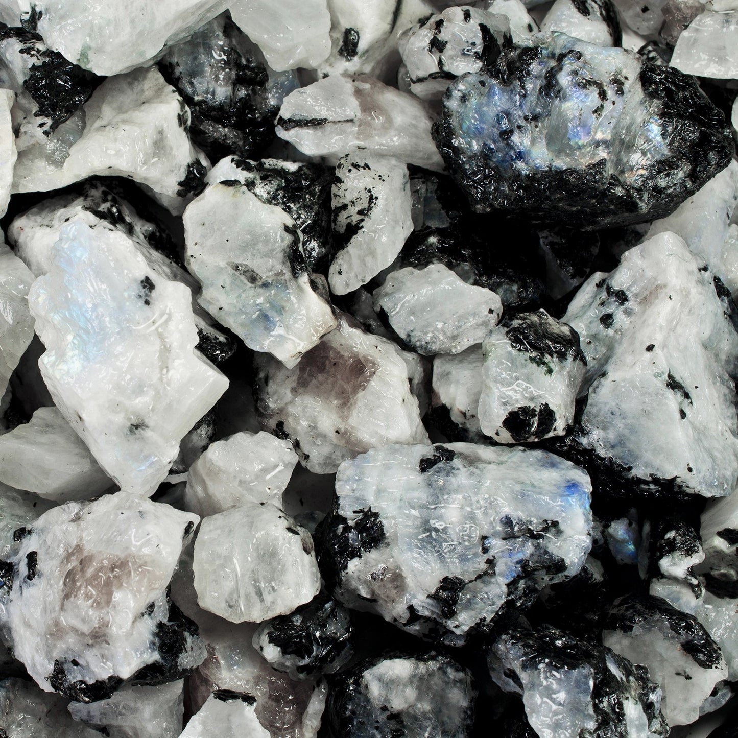 1lb Rough Rainbow Moonstone A+ Grade - Raw Natural Stones
