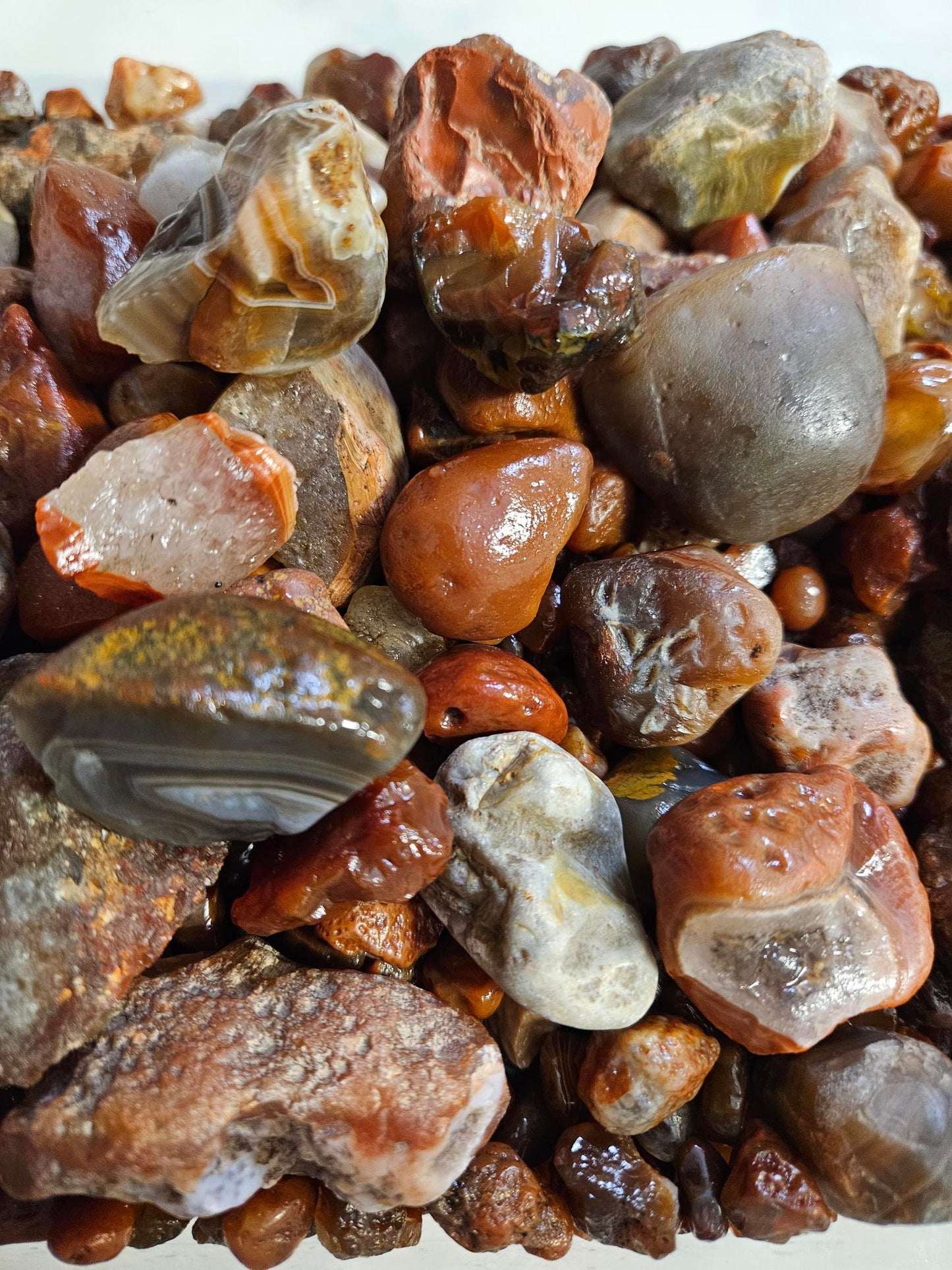 1lb - Famous Lake Superior Agates Rough for Tumbling - Polishing