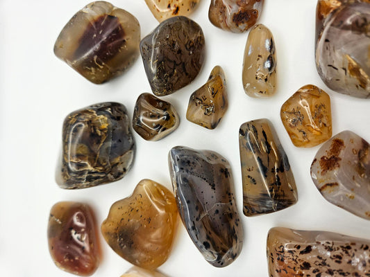 Montana Moss Agates Yellowstone River Agates Tumbled Polished