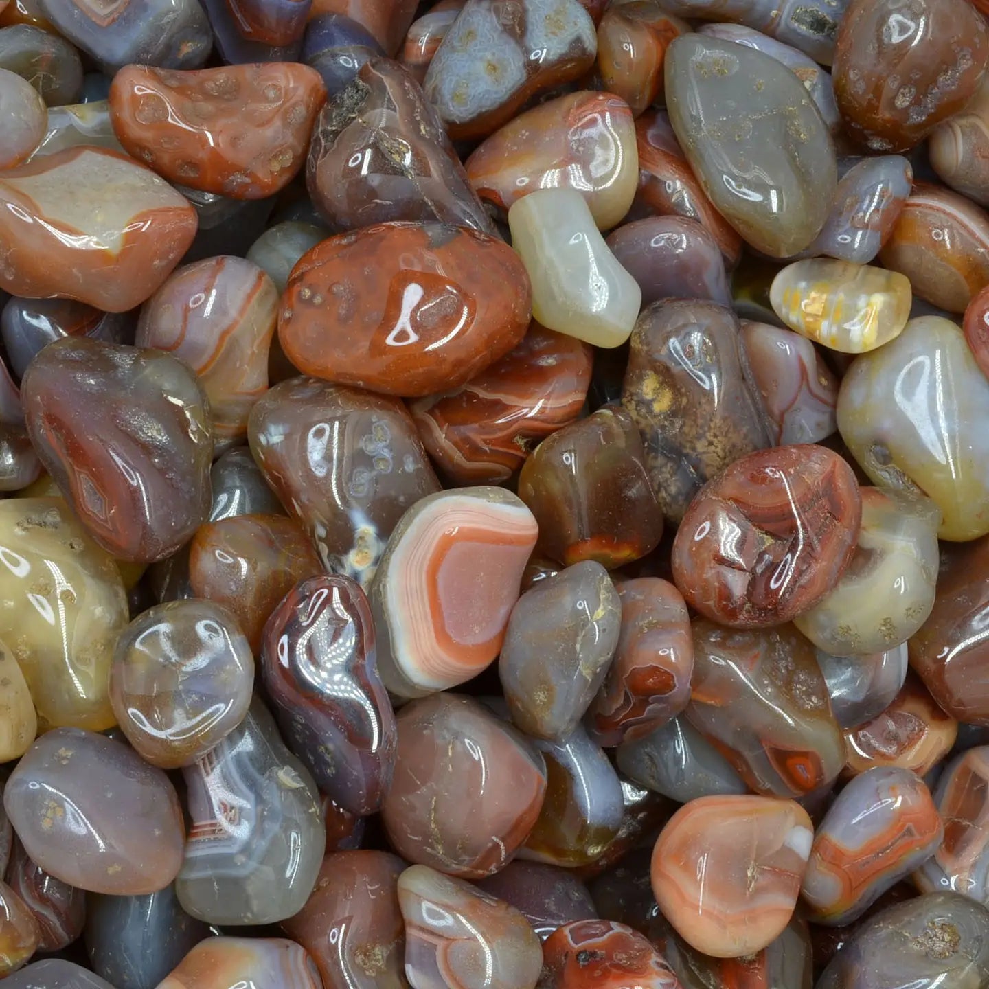 1lb Red Lined Agate Tumbled-Polished
