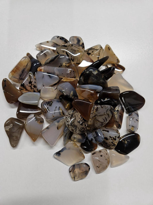 Montana Moss Agates Yellowstone River Agates Tumbled Polished