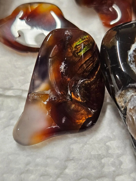 1lb Mexican Fire Agate Unsearched Mine Run Material for Tumbling - Polishing - Jewelry - Collectors